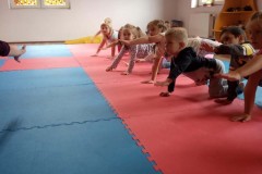 25_grupa_acrobatyka_maluchy_20191227